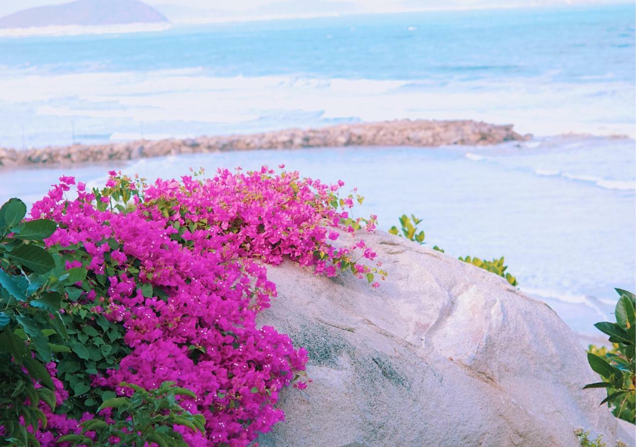 Wild Beach Boutique Resort Ninh Phuoc Exteriér fotografie